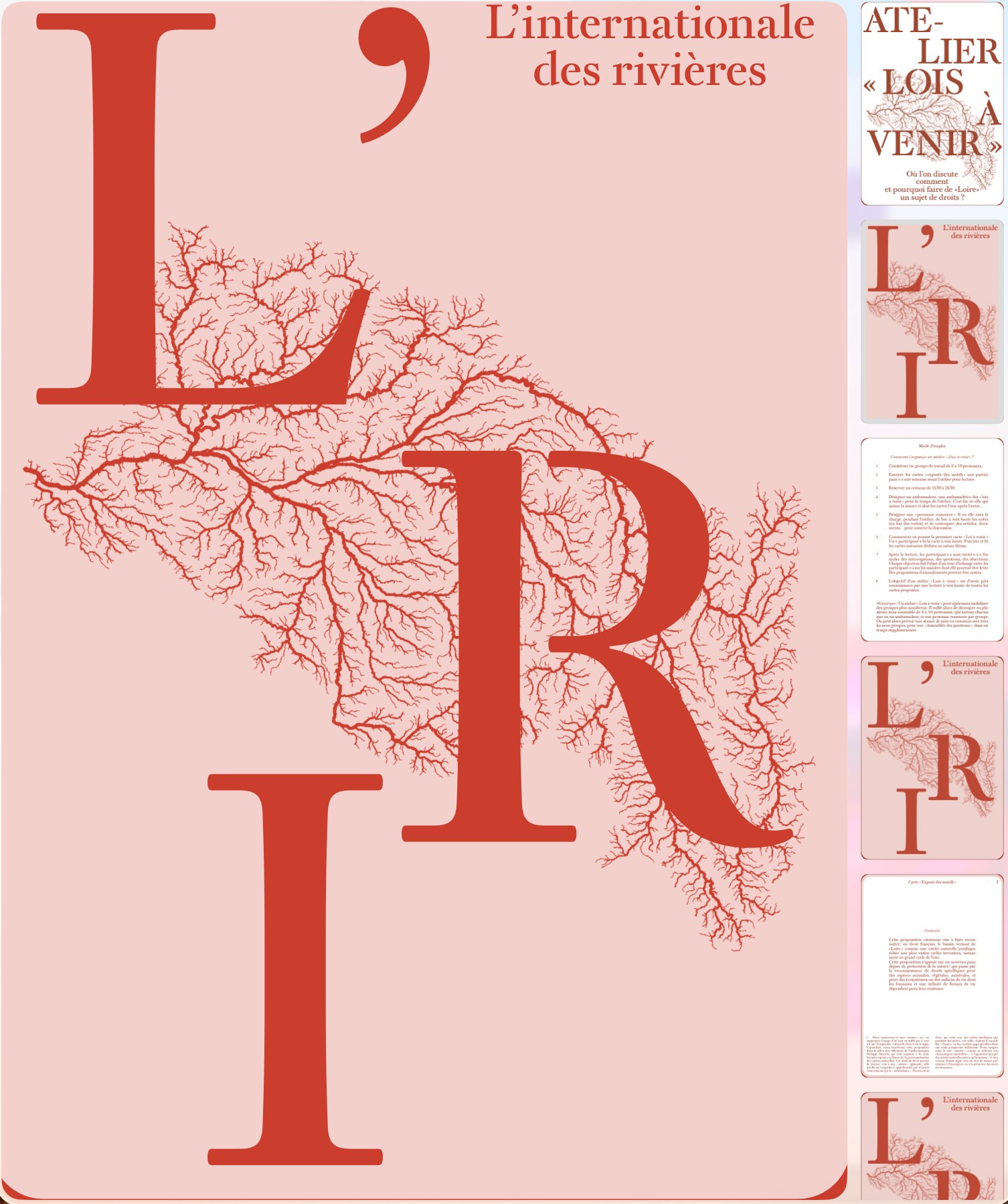 The “cards” of the transformation game present the “law to come” recognising the rights of the Loire and its watershed… these cards feed workshops across the territory…