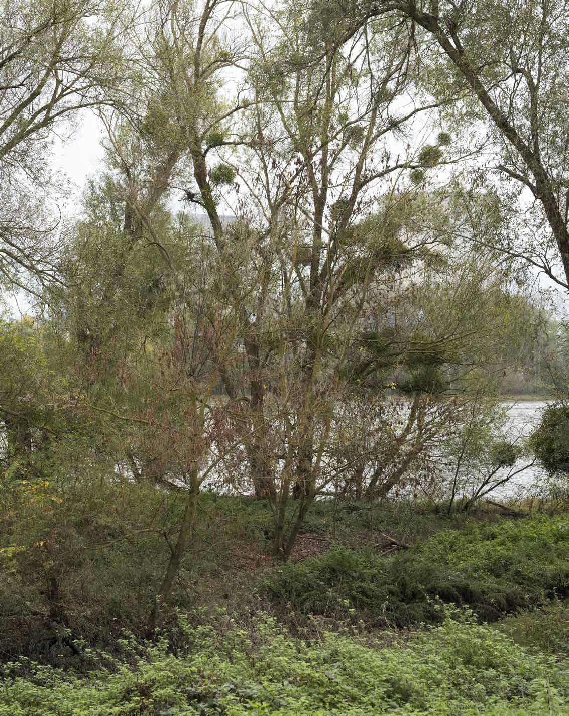 Légende de l’événement et crédits. Through exhi- bitions, research, and public assemblies, it expands the cultural imagination of what a « water region » can mean in an era of ecological transformation.